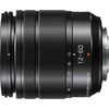 Panasonic Lumix G Vario 12-60mm f/3.5-5.6 ASPH. POWER O.I.S. Lens (H-FS12060)