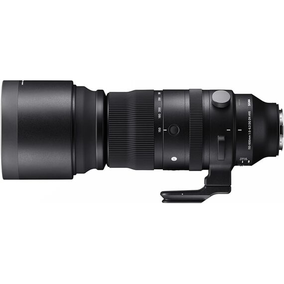Sigma 150-600mm f/5-6.3 DG DN OS Sports (Sony E)