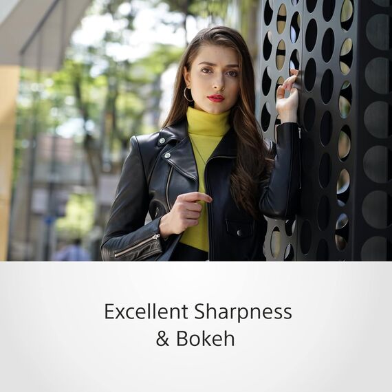 Sony FE 24-105mm F4 G OSS