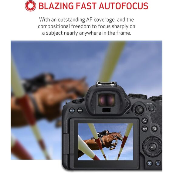 Canon EOS R6 Mark II with RF 24-105mm f/4L IS USM