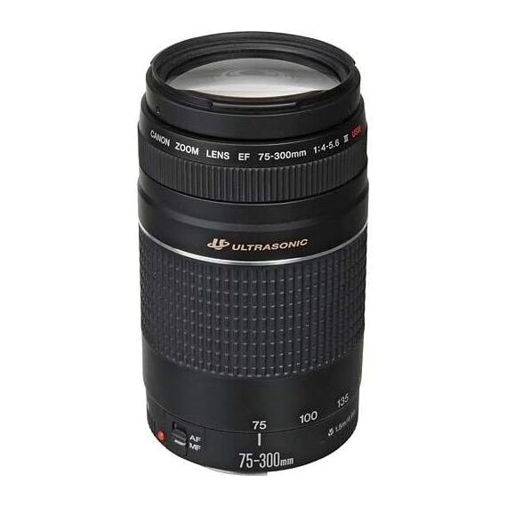 Canon EF 75-300mm f/4-5.6 III