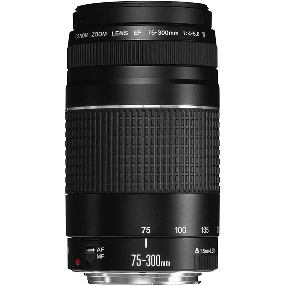 Canon EF 75-300mm f/4-5.6 III