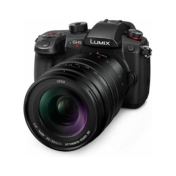 Leica DG Vario-Summilux 25-50mm F1.7 ASPH (H-X2550)