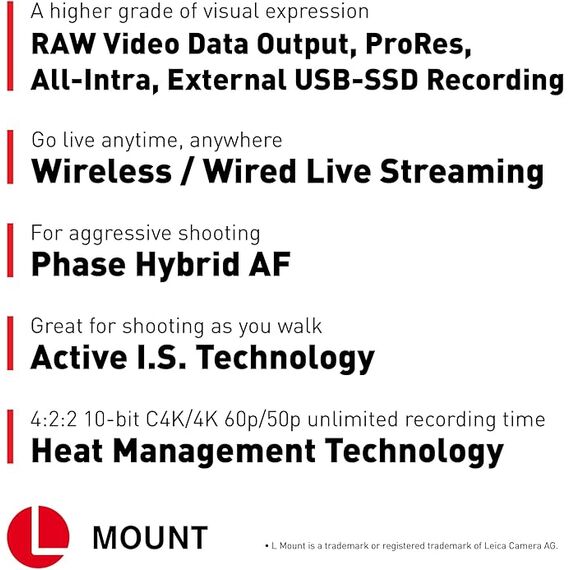 Panasonic Lumix DC-S5 IIX