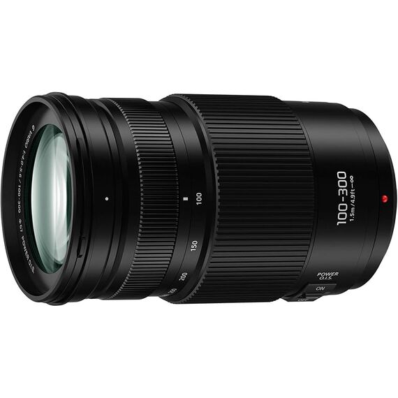 Panasonic Lumix G Vario 100-300mm f/4-5.6 II