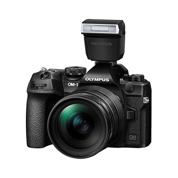 OM System OM-1 Mark II + 12-40mm F/2.8 Pro II