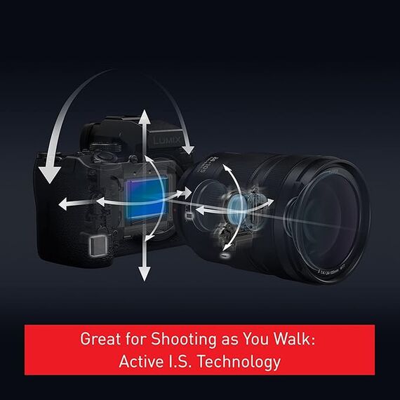 Panasonic Lumix DC-S5 IIX