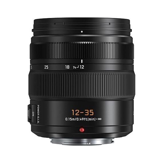 Panasonic Leica DG Vario-Elmarit 12-35mm f/2.8