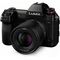 Lumix S 50mm f/1.8 Lens (S-S50)