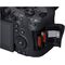 Canon EOS R6 Mark II (Cuerpo)