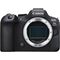 Canon EOS R6 Mark II (Cuerpo)