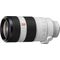 Sony FE 100-400mm f/4.5-5.6 GM OSS