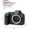 Canon EOS R6 Mark II (Cuerpo)