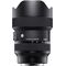 Sigma 14-24mm F2.8 DG DN Art (Sony E)