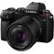 Panasonic Lumix S 35mm f/1.8 Lens (S-S35)
