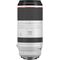 Canon RF 100-500mm f/4.5-7.1L IS USM