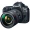 Canon EOS 5D Mark IV + 24-105mm f/4L II
