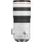 Canon RF 70-200mm F/2.8 L IS USM Z (White)