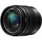 Panasonic Lumix G Vario 12-60mm f/3.5-5.6 ASPH. POWER O.I.S. Lens (H-FS12060)