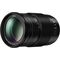 Panasonic Lumix G Vario 100-300mm f/4-5.6 II