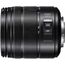Panasonic Lumix G Vario 14-140mm f/3.5-5.6 II ASPH. / Power O.I.S.