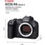 Canon EOS R6 Mark II (Cuerpo)