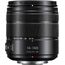 Panasonic Lumix G Vario 14-140mm f/3.5-5.6 II ASPH. / Power O.I.S.