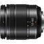 Panasonic Lumix G Vario 12-60mm f/3.5-5.6 ASPH. POWER O.I.S. Lens (H-FS12060)